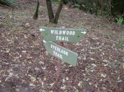 11.06.05 Wildwood Trail 011 